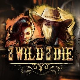 Play the 2 Wild 2 Die slot by Hacksaw Gaming on Hugo Casino