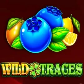 Play Wild Traces slot by Amusnet Interactive on hugocasinoo.eu